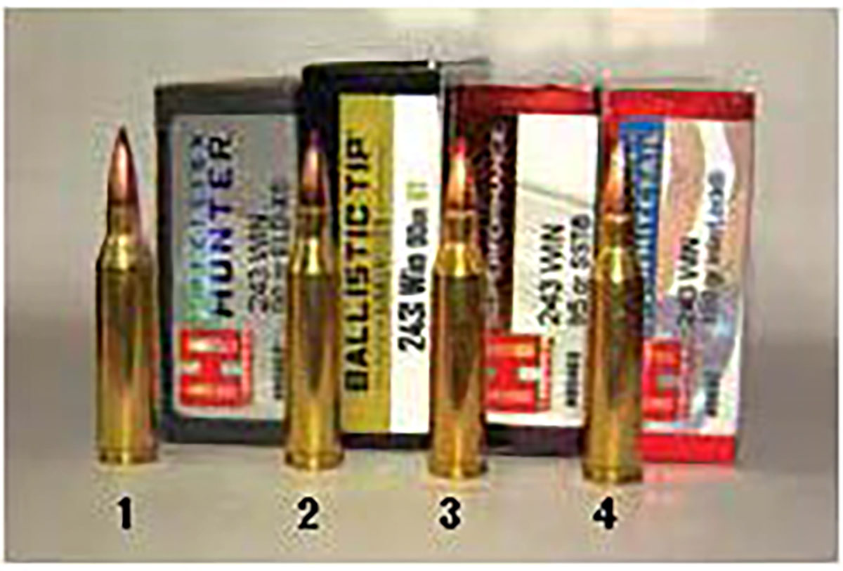 Factory 243 Winchester ammunition shot from the Browning X-Bolt 2 Hunter included from left to right: (1) Hornady’s 95-grain ELD-X Precision Hunter, (2) Nosler 90-grain Ballistic Tip, (3) Hornady 95-grain SST Superformance and (4) Hornady 100-grain  InterLock American Whitetail.